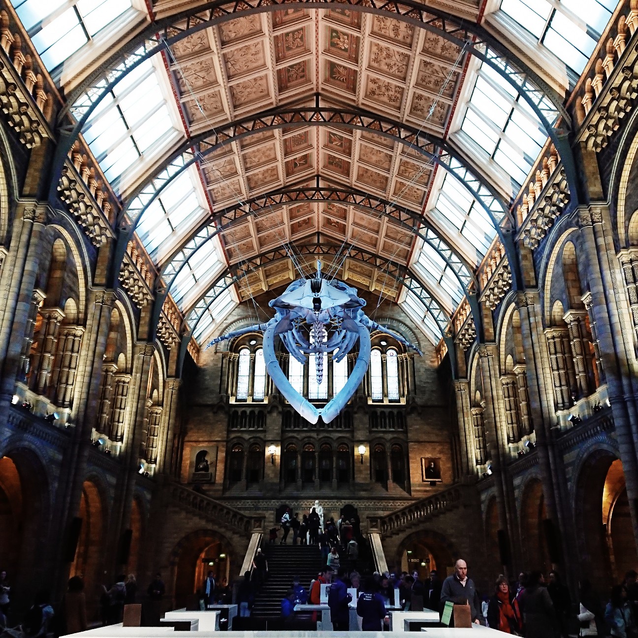 f:id:tomoeagle:20171207233646j:plain