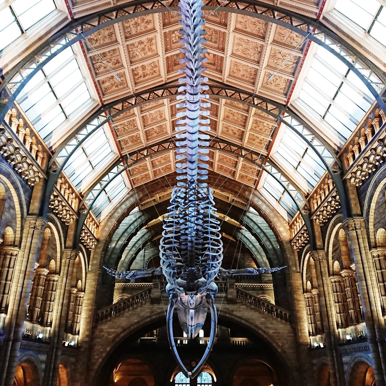 f:id:tomoeagle:20171207233708j:plain