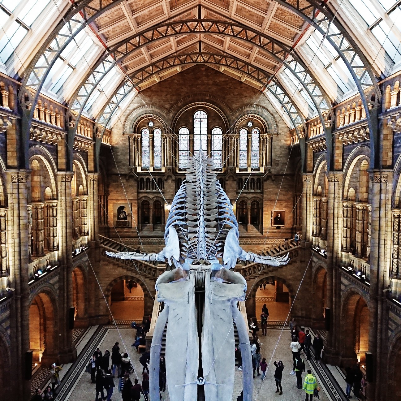 f:id:tomoeagle:20171207233729j:plain