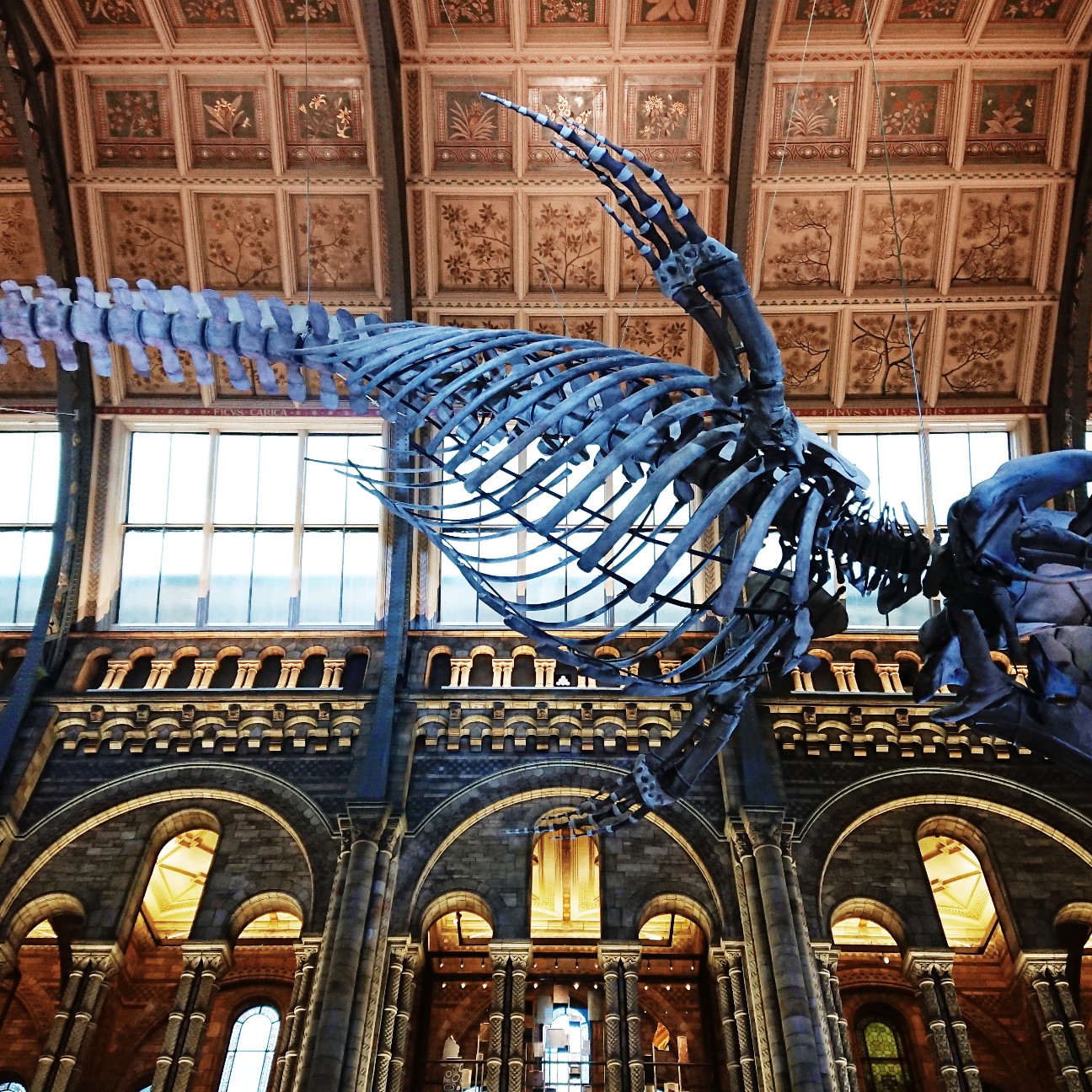 f:id:tomoeagle:20171207233737j:plain