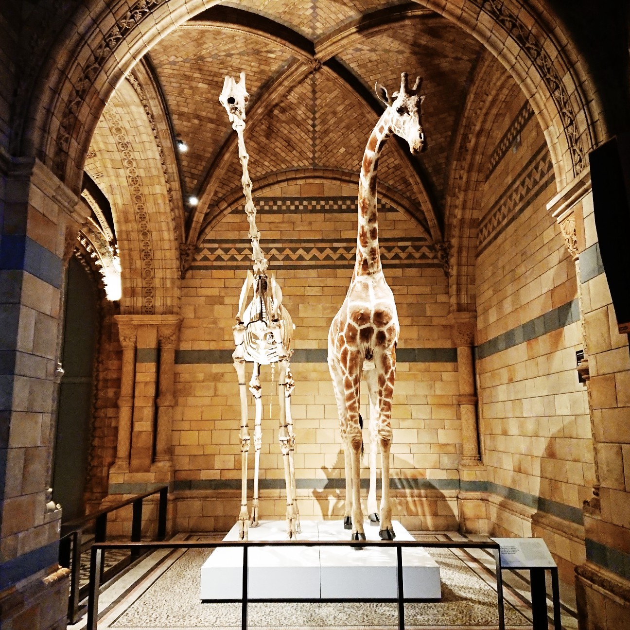 f:id:tomoeagle:20171207233759j:plain