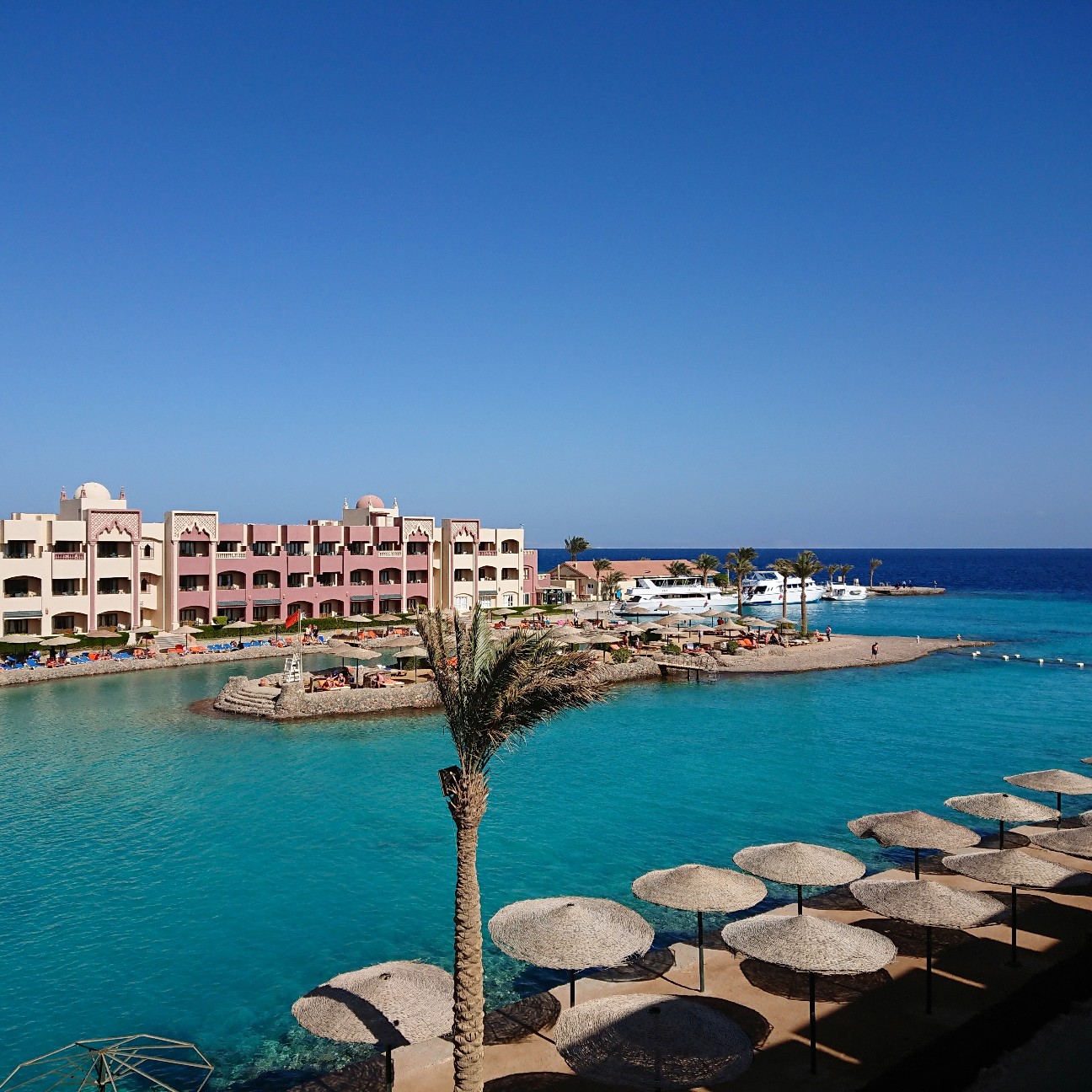 f:id:tomoeagle:20180125084821j:plain f:id:tomoeagle:20180125084821j:plain