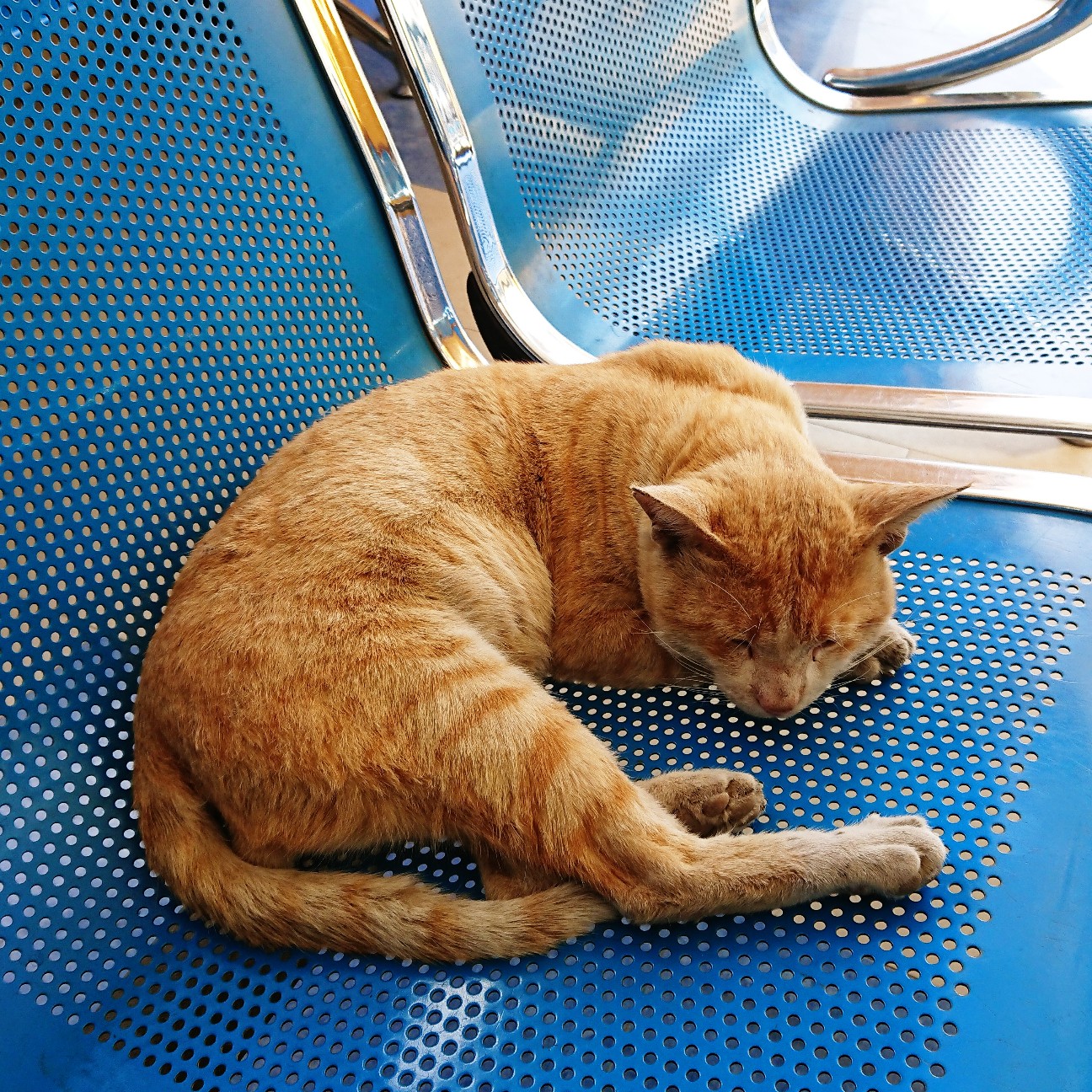 f:id:tomoeagle:20180125090108j:plain f:id:tomoeagle:20180125090108j:plain