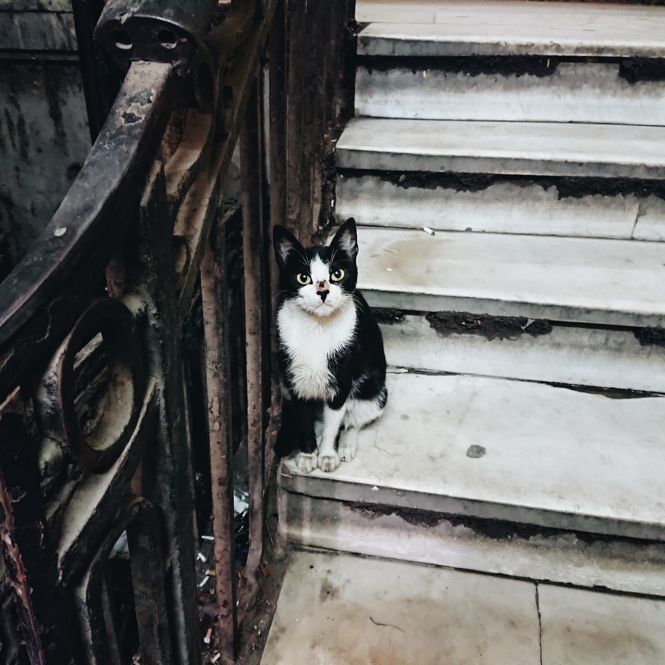 f:id:tomoeagle:20180125091055j:plain f:id:tomoeagle:20180125091055j:plain