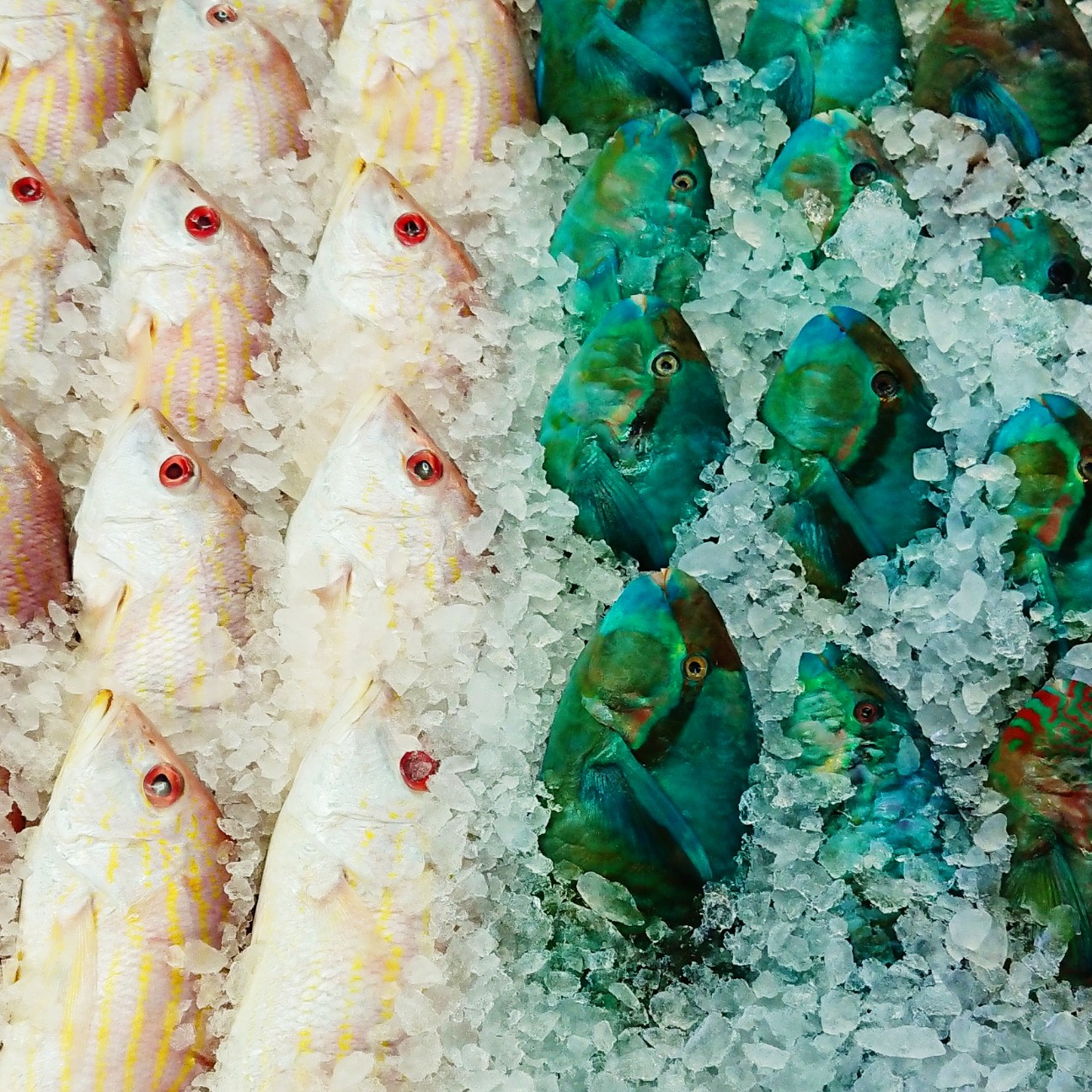 f:id:tomoeagle:20180221071718j:plain f:id:tomoeagle:20180221071718j:plain