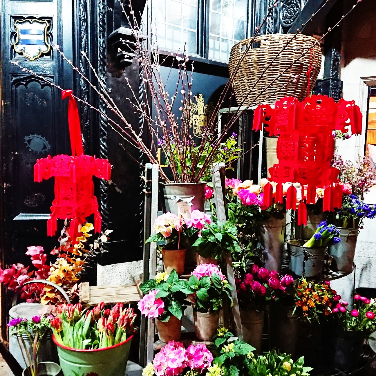 f:id:tomoeagle:20180224071005j:plain