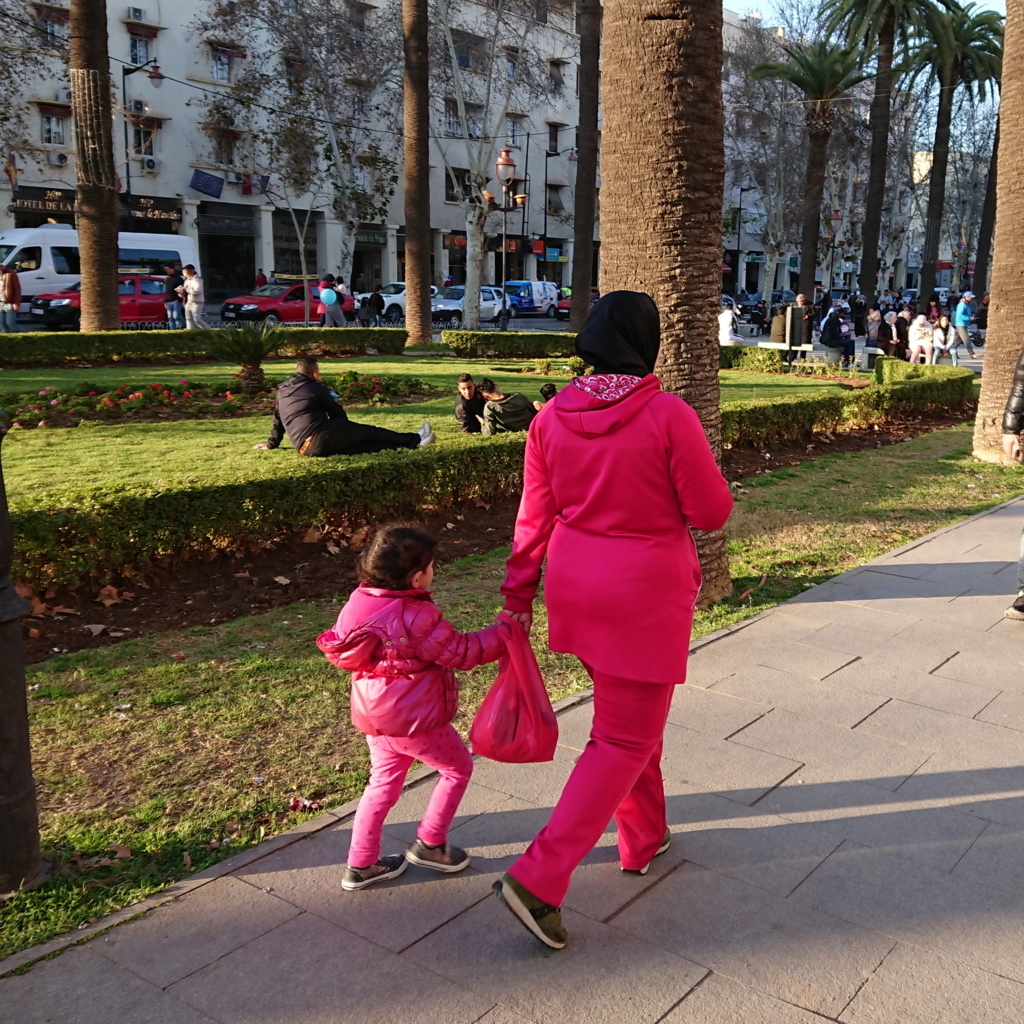 f:id:tomoeagle:20180227081654j:plain