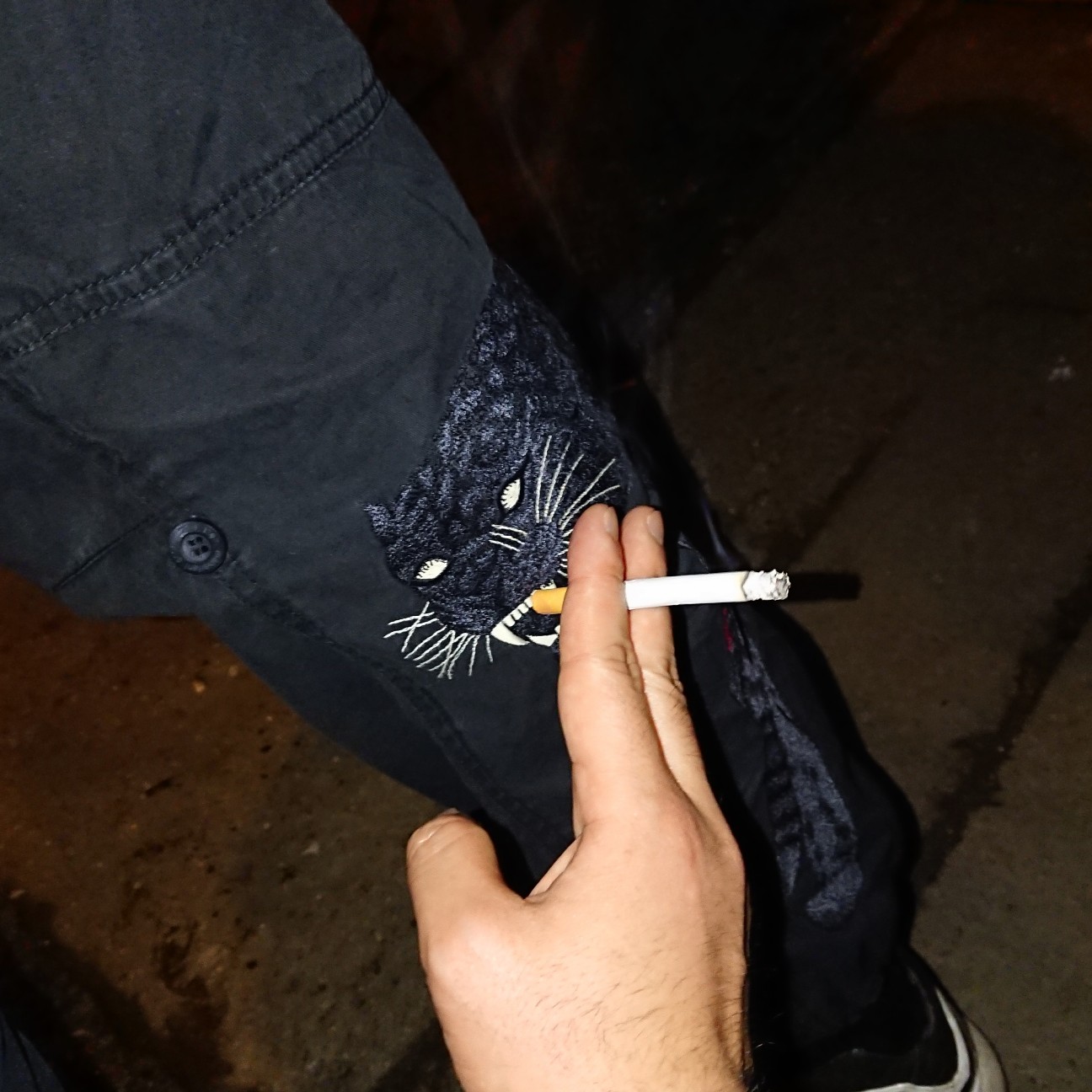 f:id:tomoeagle:20180316234904j:plain