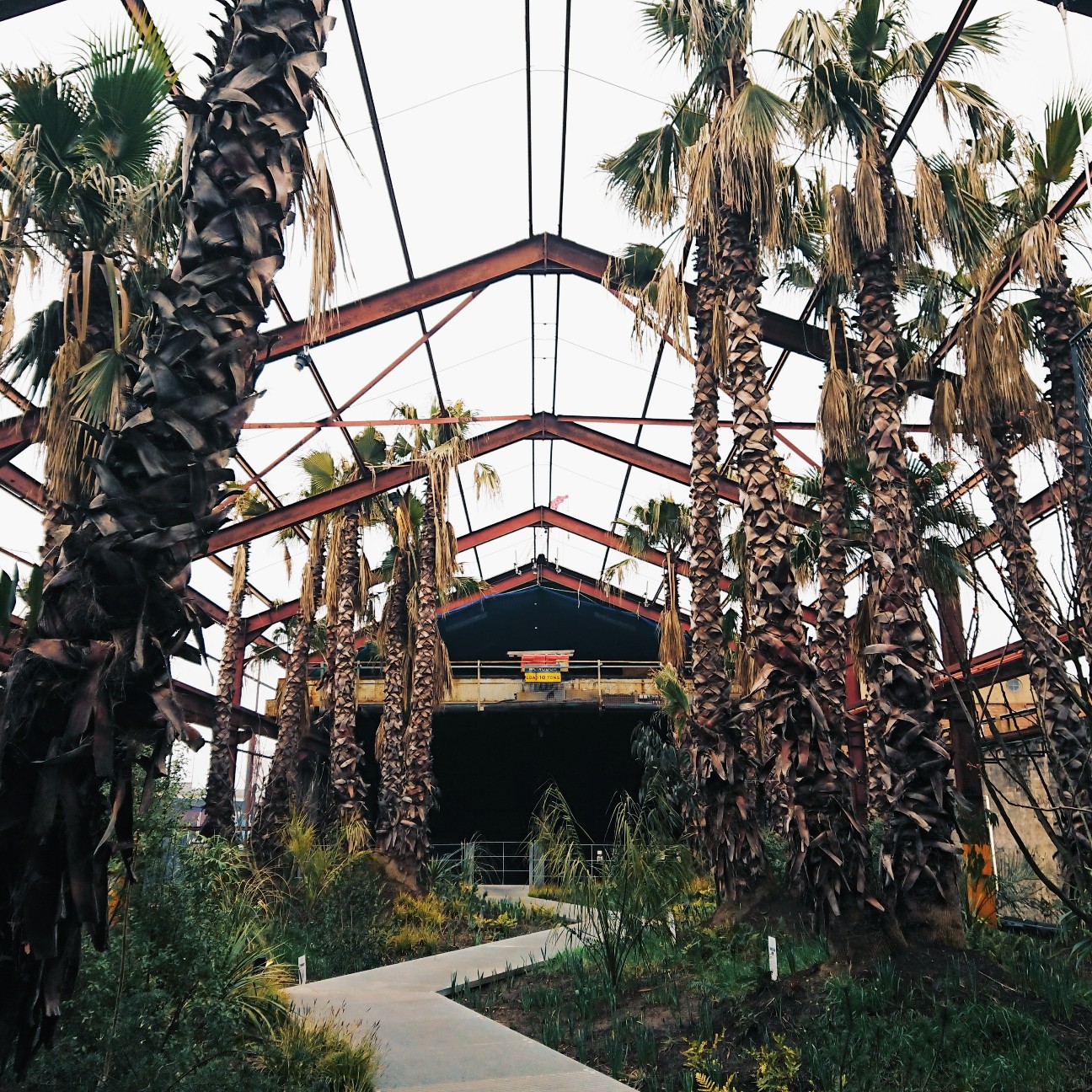 f:id:tomoeagle:20180417055020j:plain