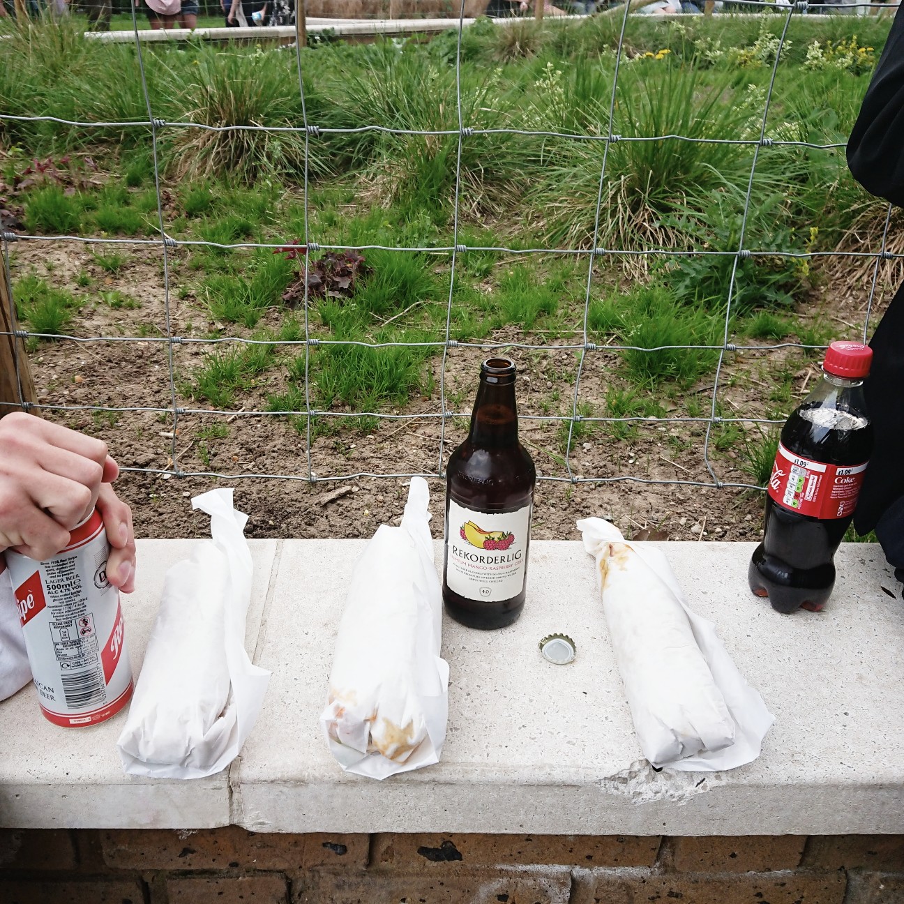 f:id:tomoeagle:20180426052931j:plain