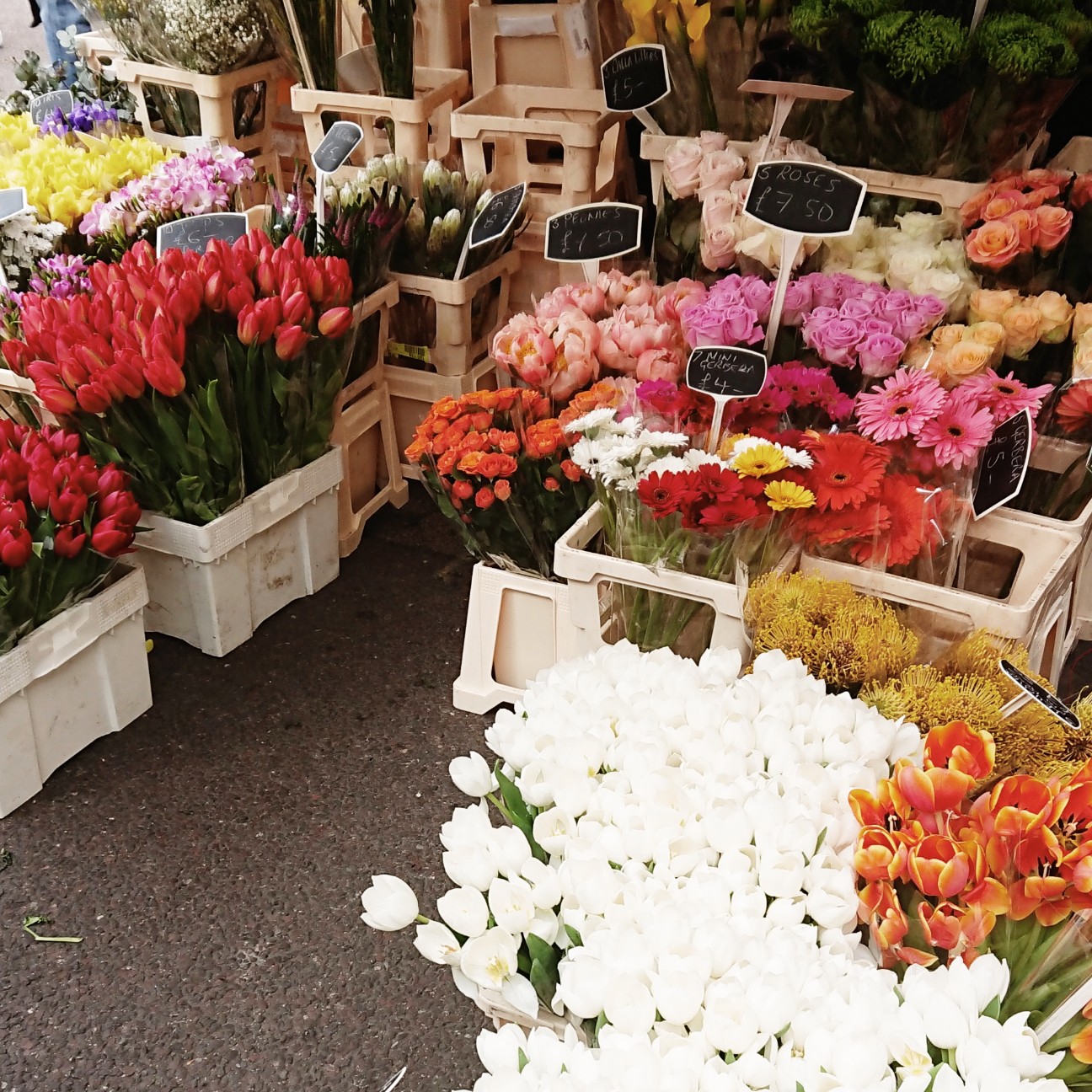 f:id:tomoeagle:20180426053004j:plain