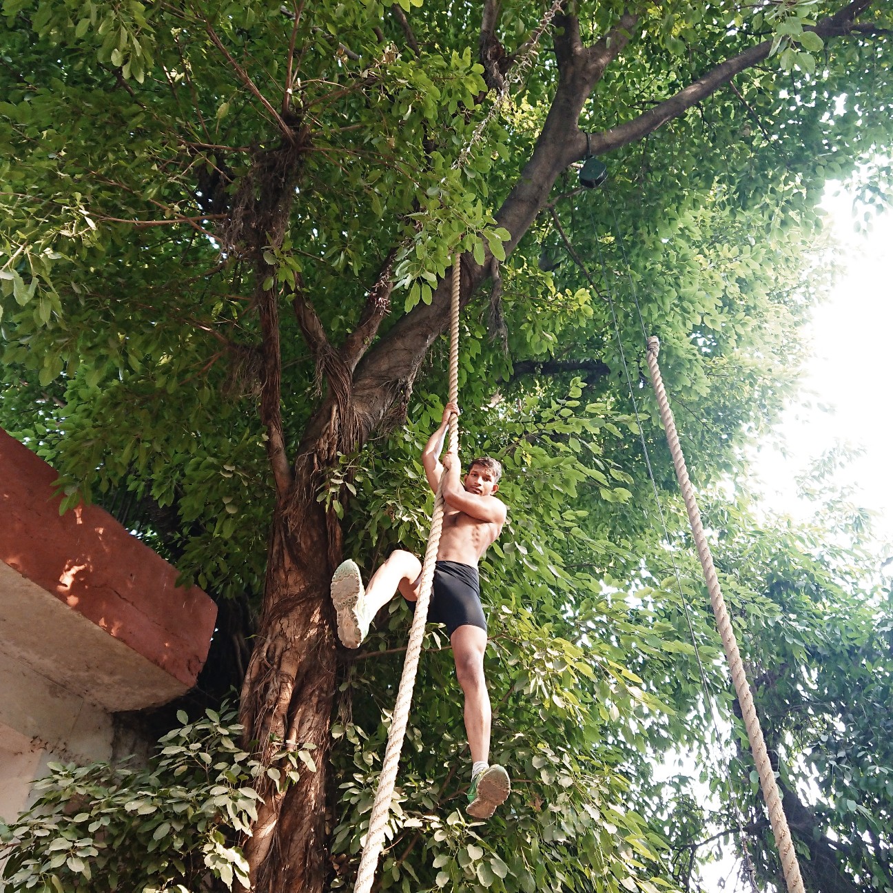 f:id:tomoeagle:20180501060401j:plain