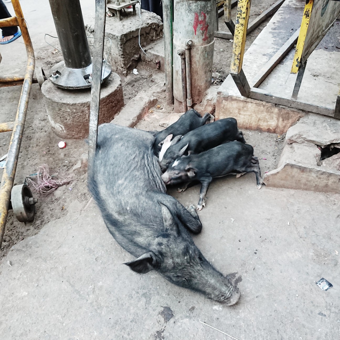 f:id:tomoeagle:20180509180918j:plain f:id:tomoeagle:20180509180918j:plain