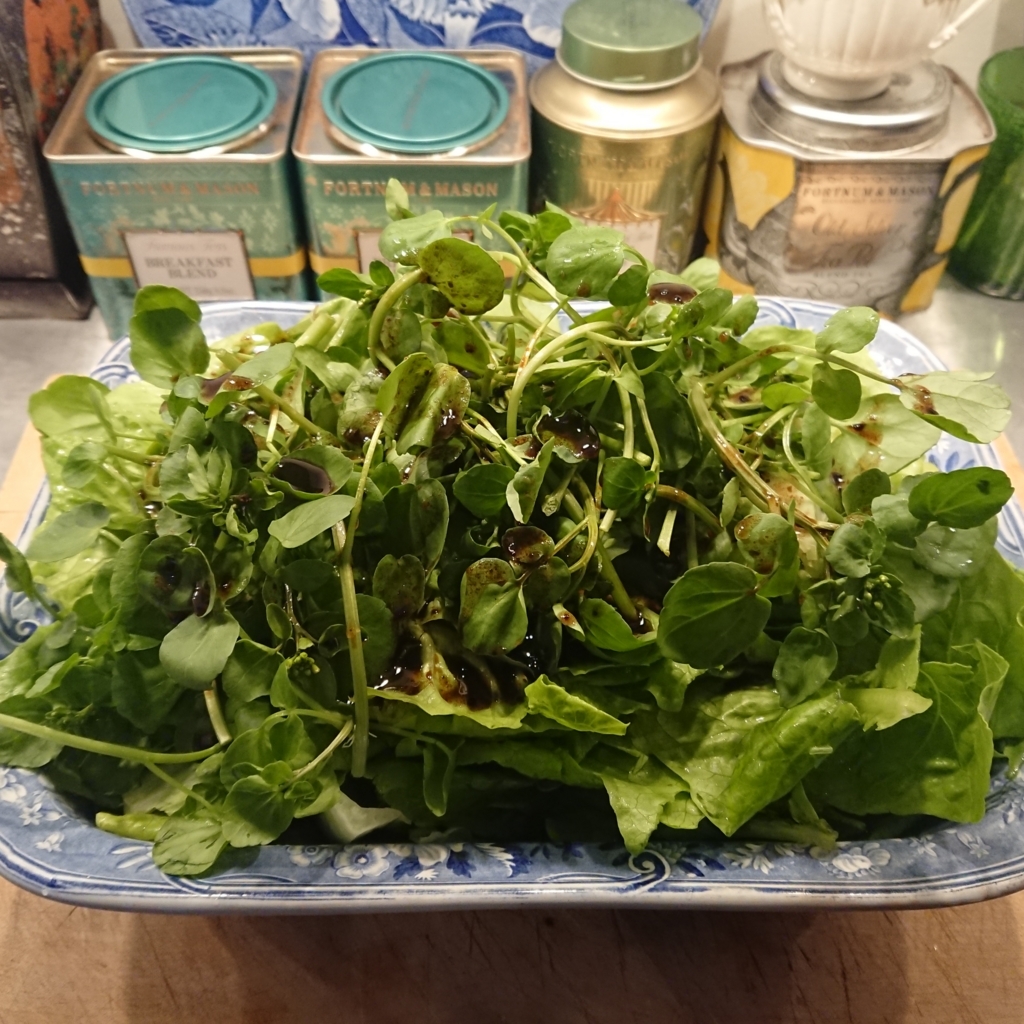 f:id:tomoeagle:20180529194651j:plain f:id:tomoeagle:20180529194651j:plain