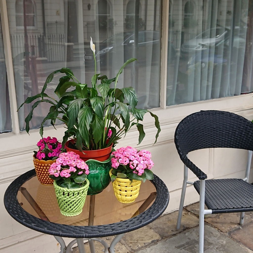 f:id:tomoeagle:20180608000736j:plain f:id:tomoeagle:20180608000736j:plain