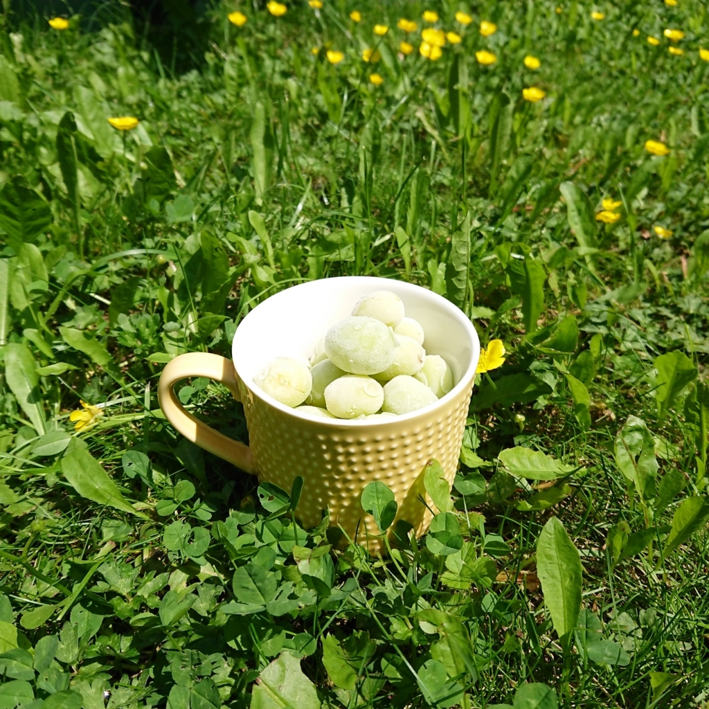 f:id:tomoeagle:20180608000857j:plain f:id:tomoeagle:20180608000857j:plain