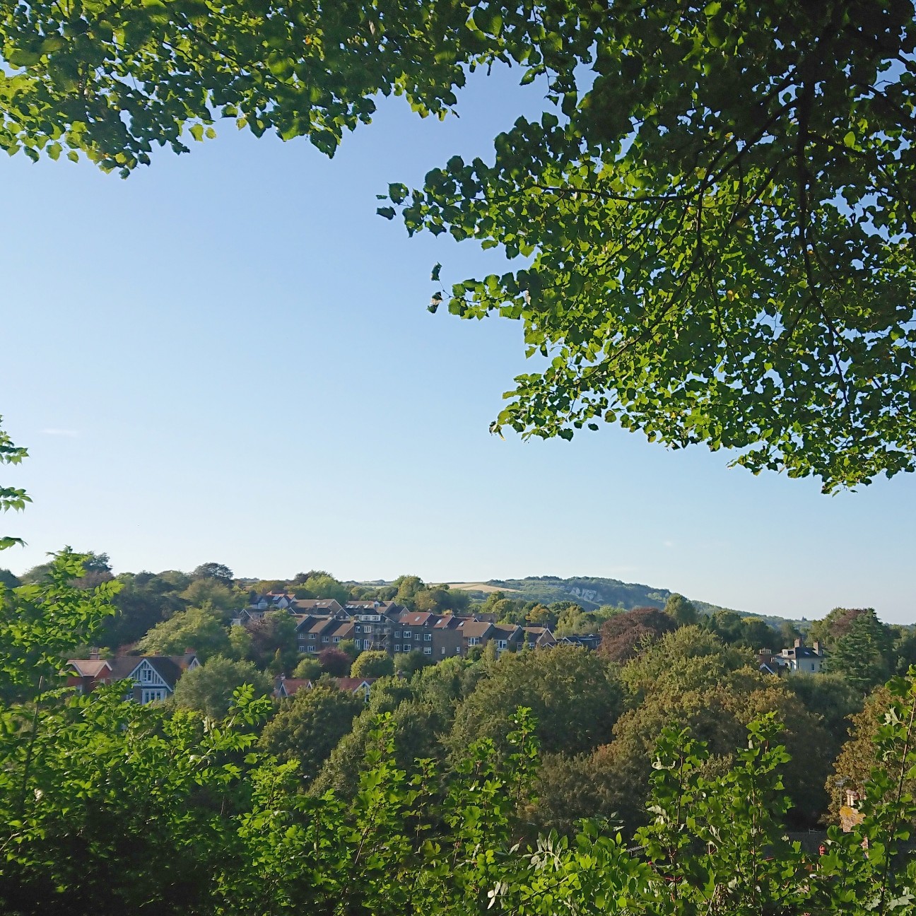 f:id:tomoeagle:20180905174113j:plain