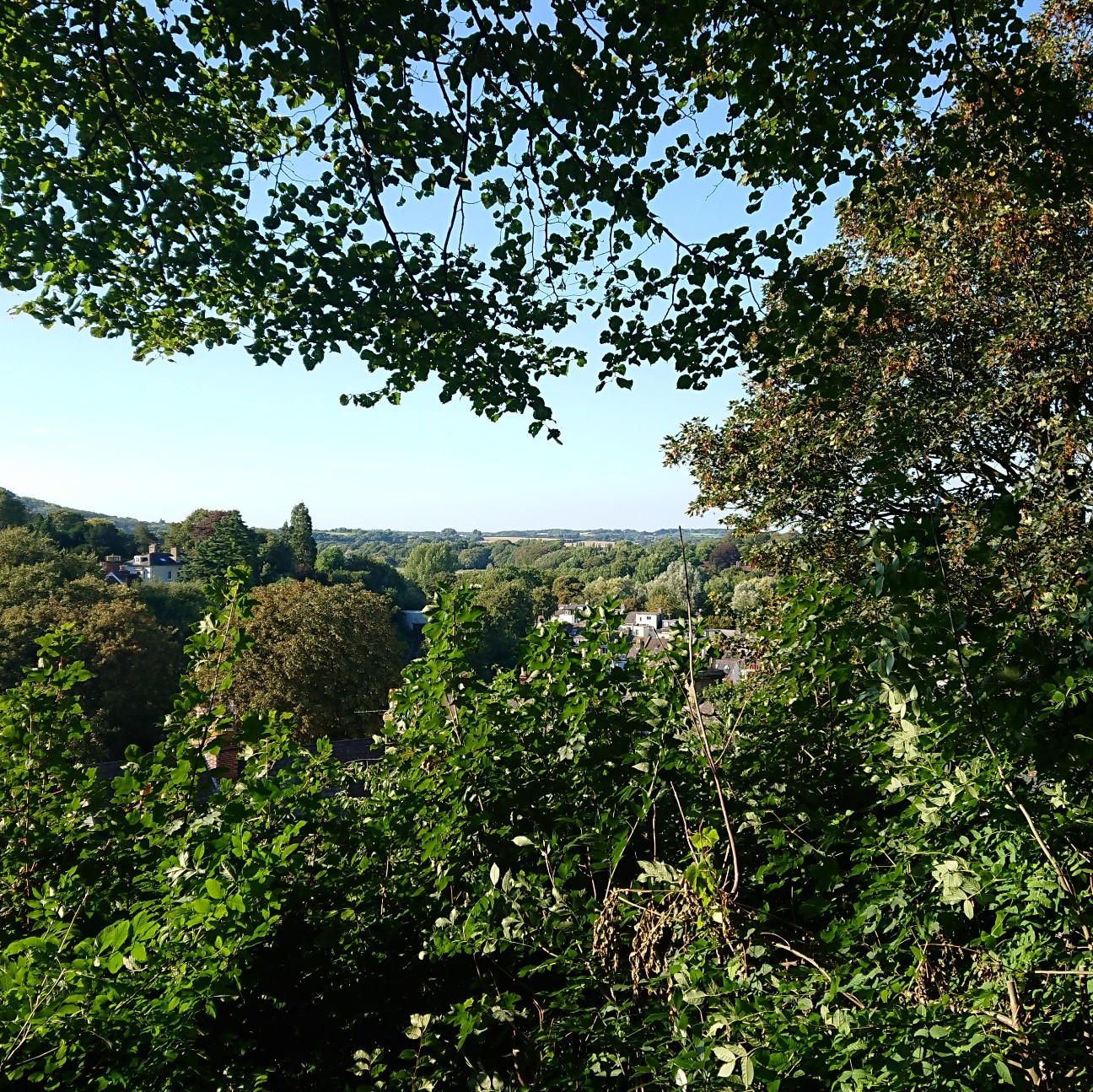 f:id:tomoeagle:20180905174658j:plain