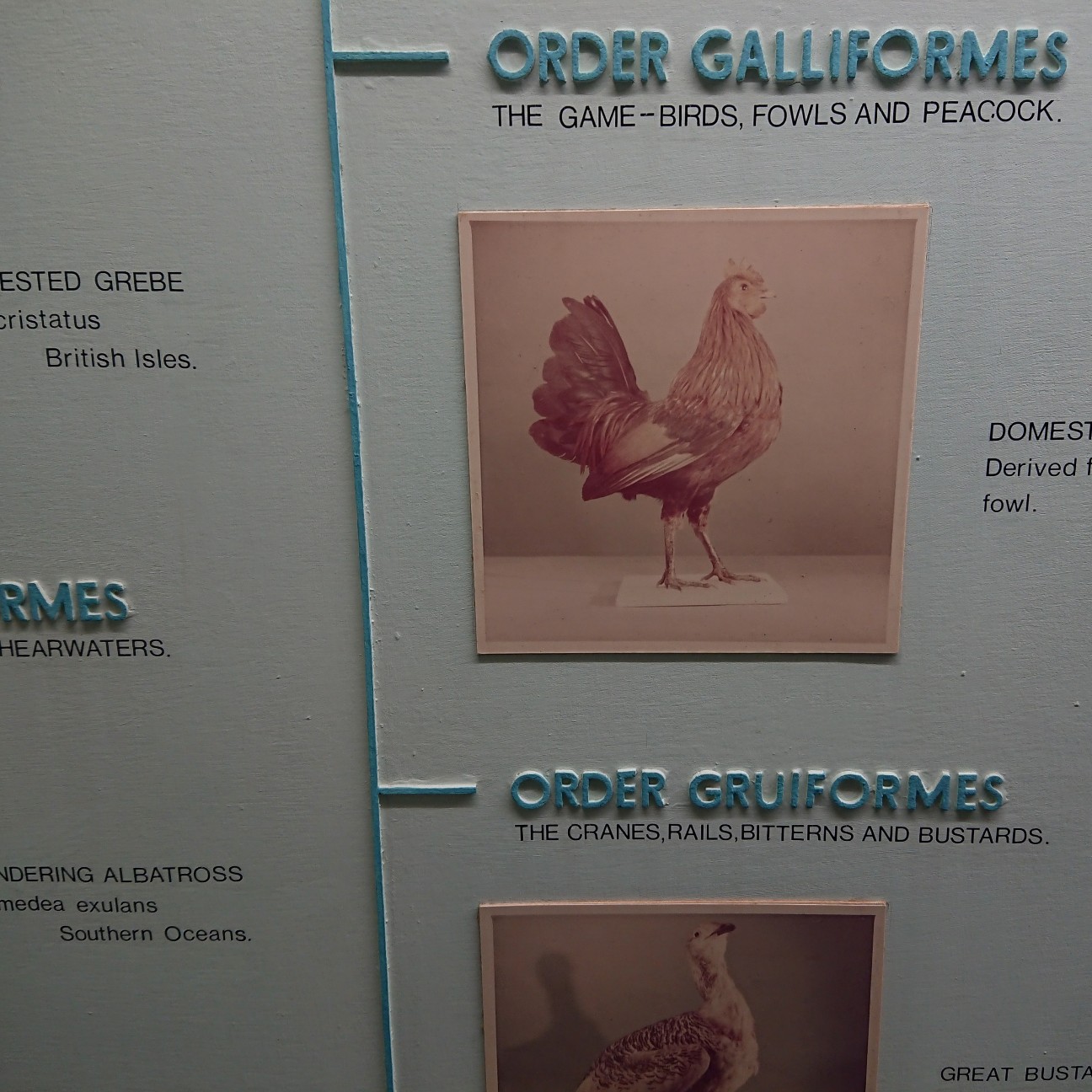 f:id:tomoeagle:20180919174347j:plain