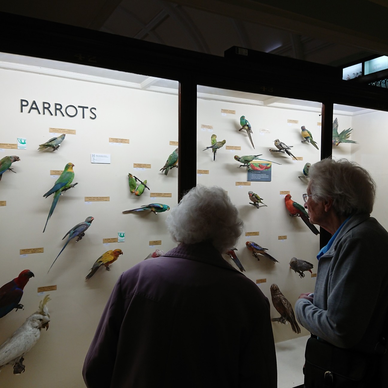 f:id:tomoeagle:20180919174406j:plain