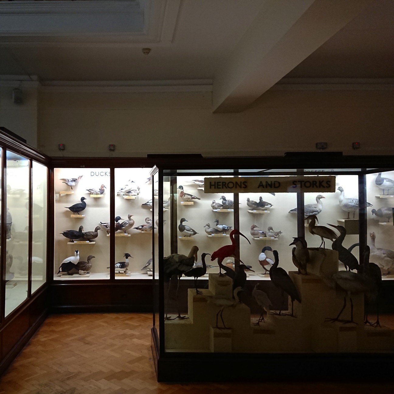 f:id:tomoeagle:20180919174409j:plain