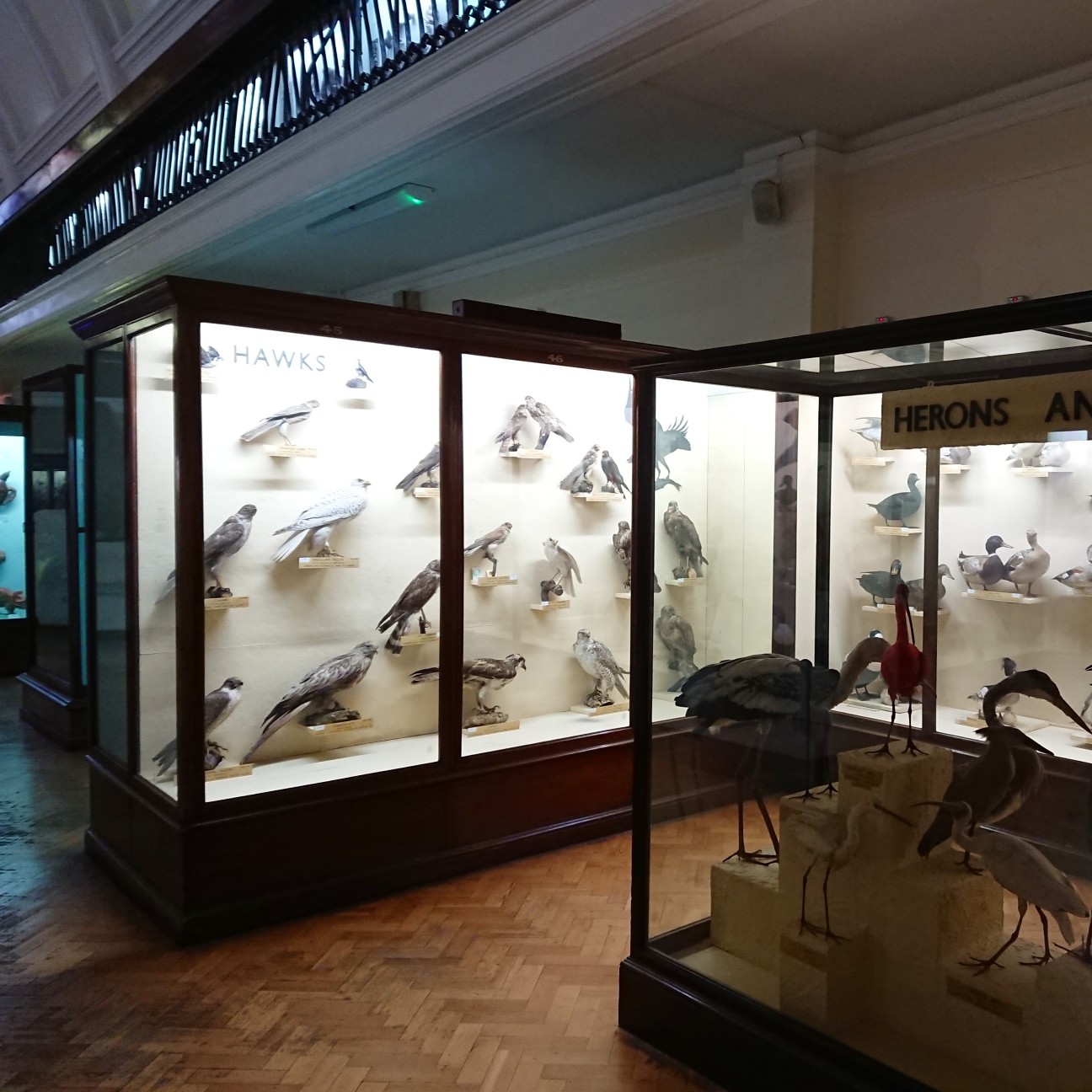 f:id:tomoeagle:20180919174414j:plain