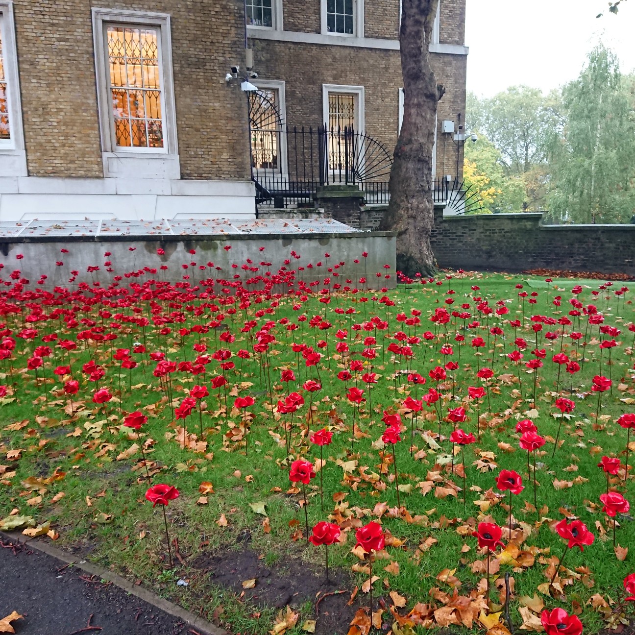 f:id:tomoeagle:20181016205456j:plain