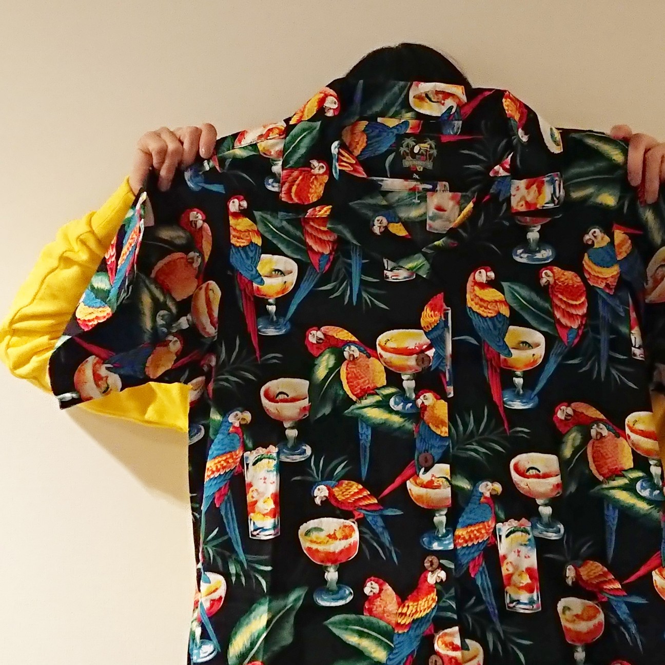 f:id:tomoeagle:20181203054842j:plain