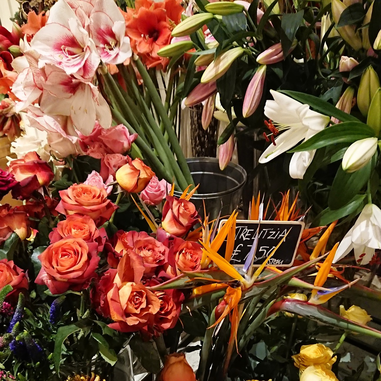 f:id:tomoeagle:20181211200911j:plain f:id:tomoeagle:20181211200911j:plain