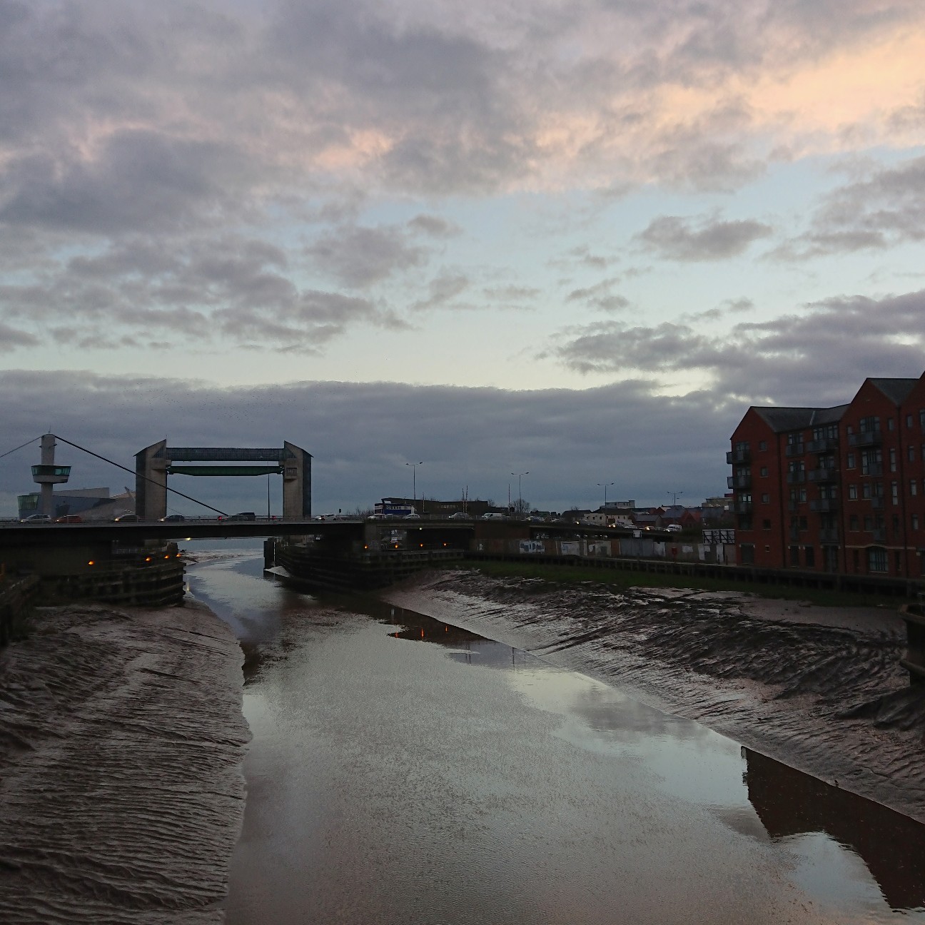 f:id:tomoeagle:20190116034325j:plain