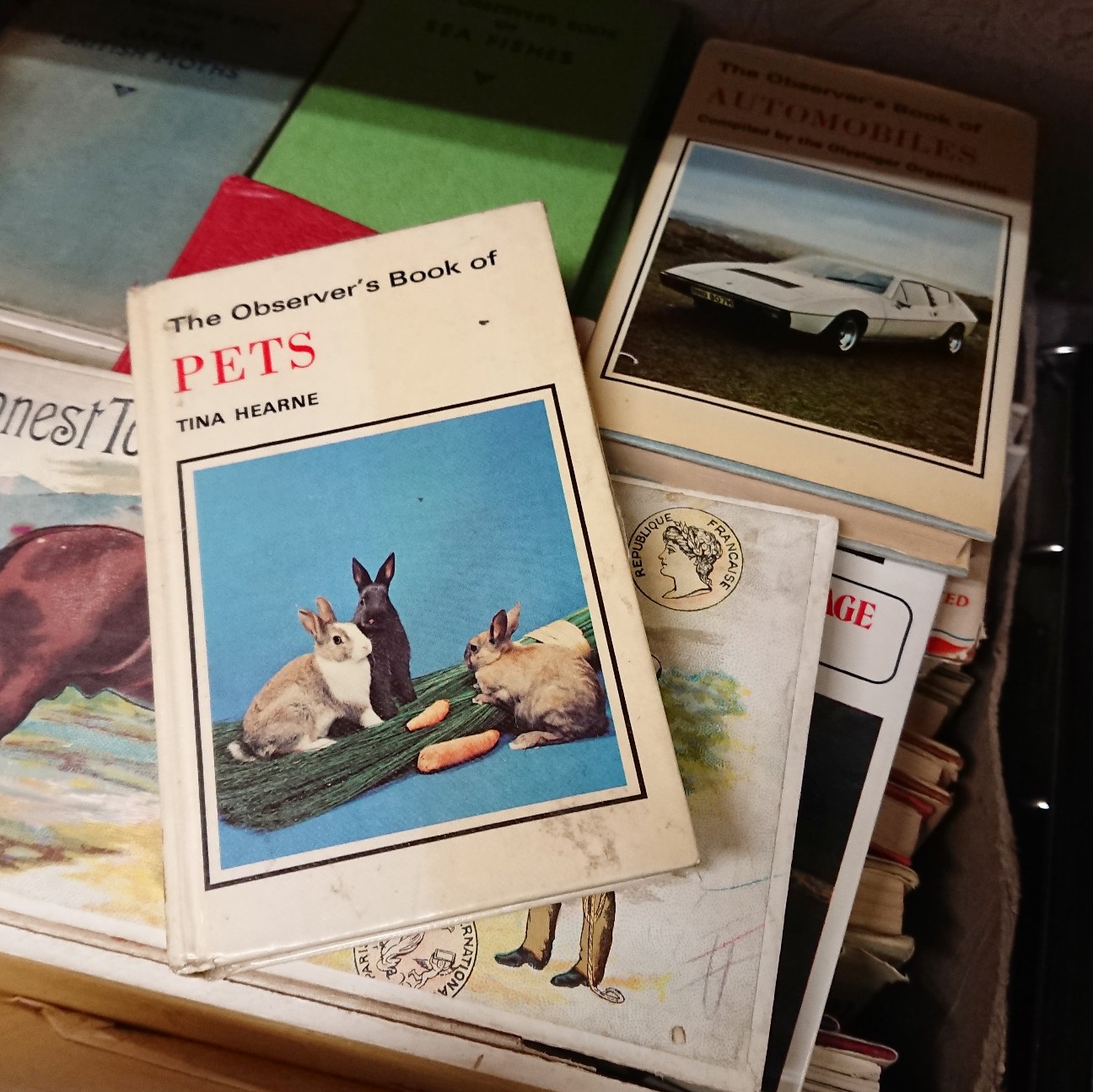 f:id:tomoeagle:20190116035301j:plain