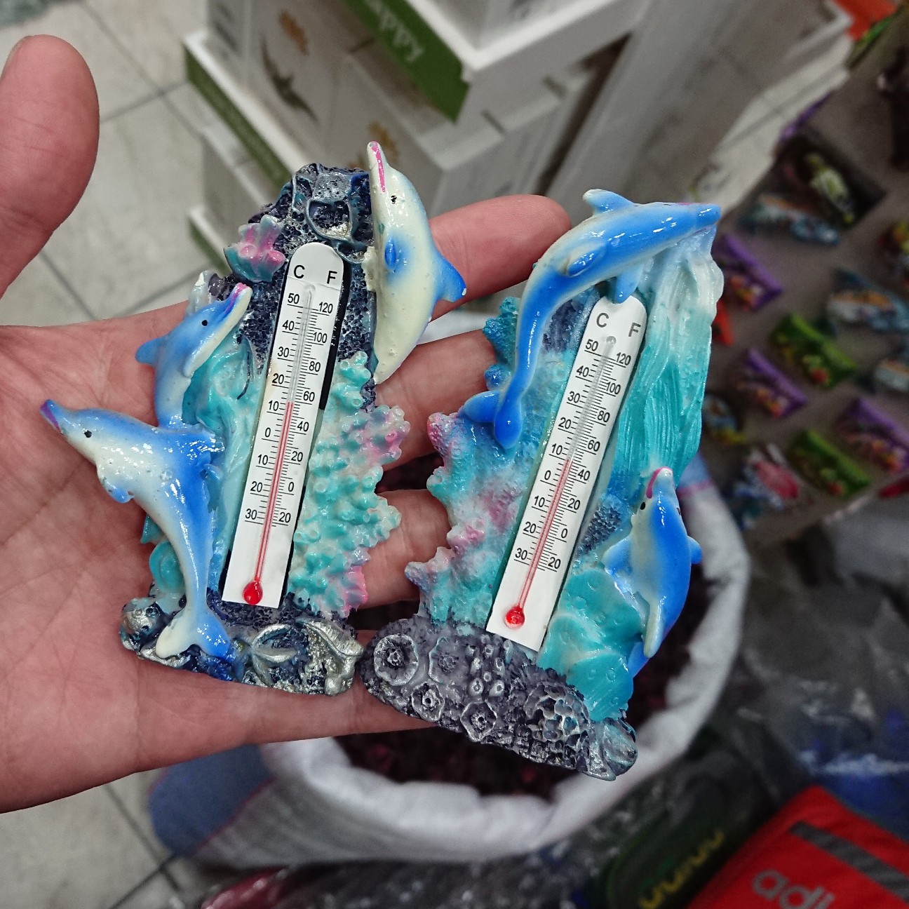 f:id:tomoeagle:20190128085749j:plain