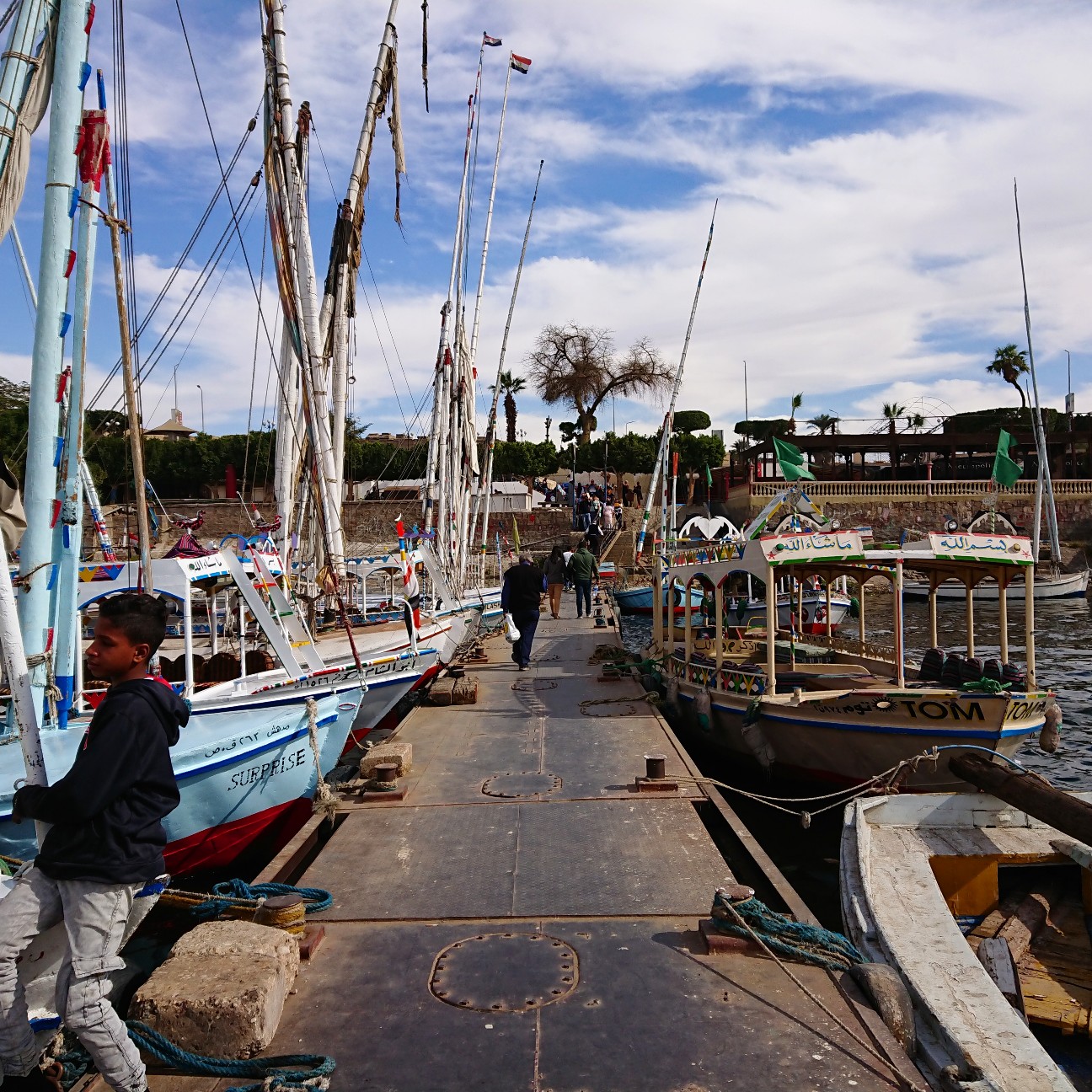 f:id:tomoeagle:20190130073910j:plain