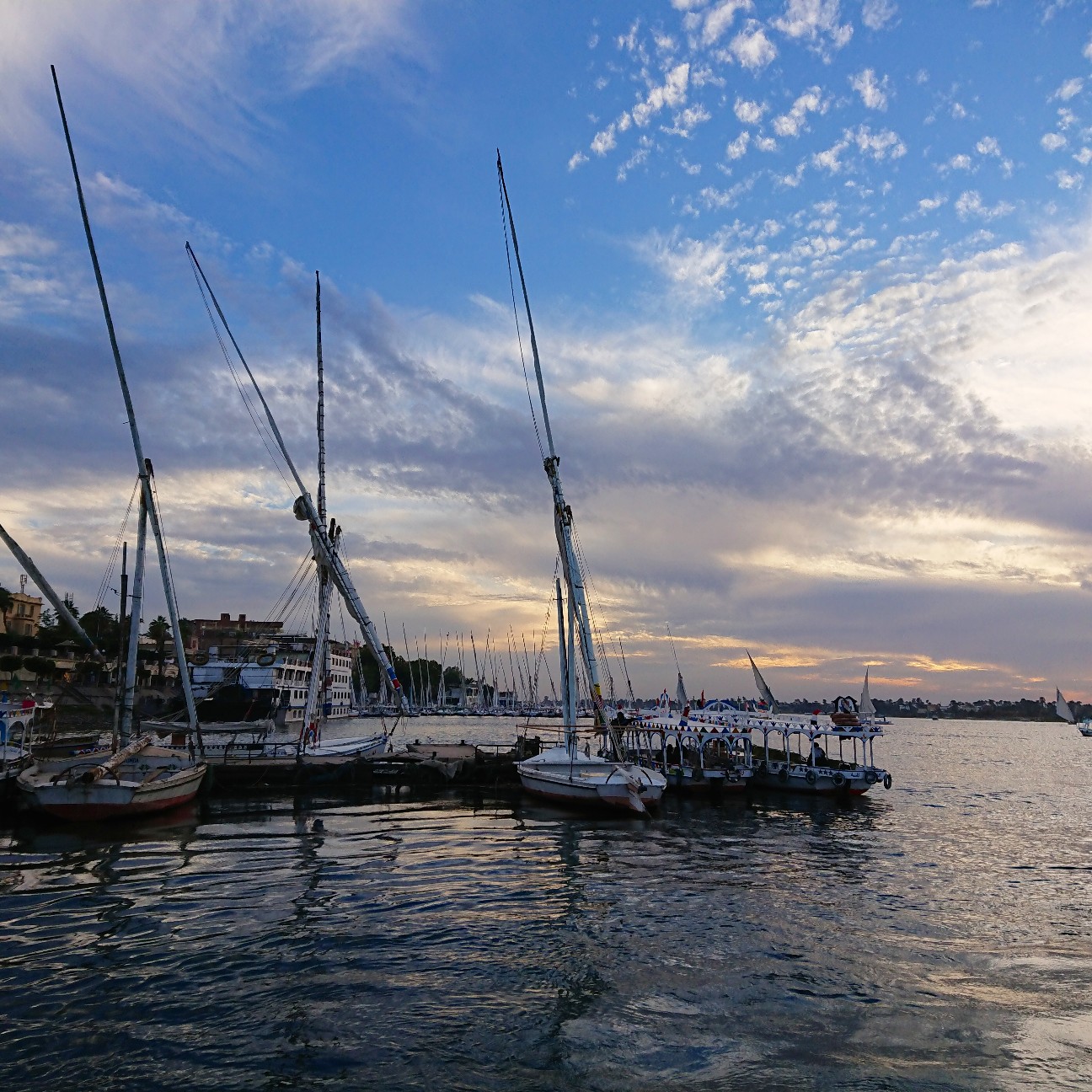 f:id:tomoeagle:20190130074934j:plain