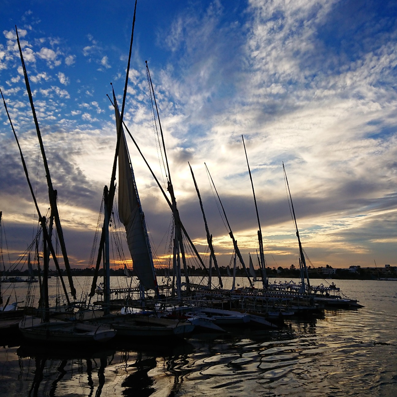 f:id:tomoeagle:20190130075120j:plain