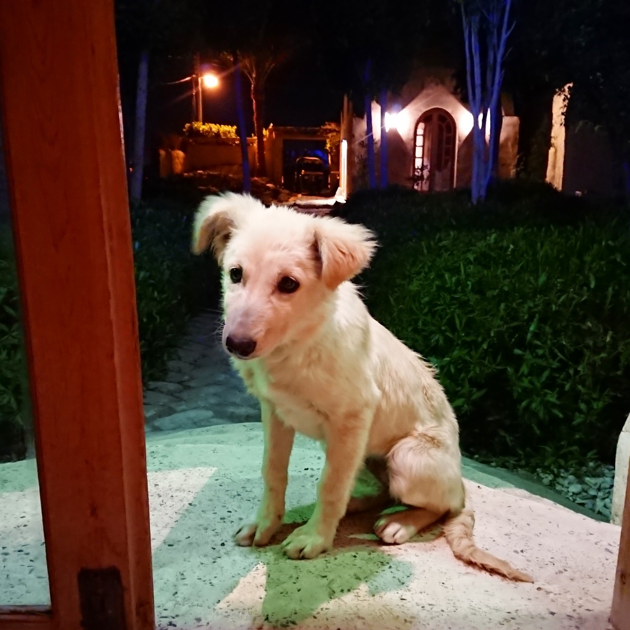 f:id:tomoeagle:20190130075802j:plain