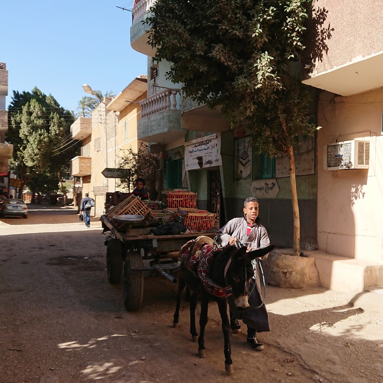 f:id:tomoeagle:20190201054247j:plain