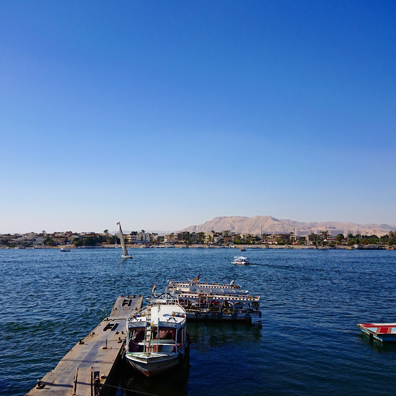 f:id:tomoeagle:20190201055653j:plain