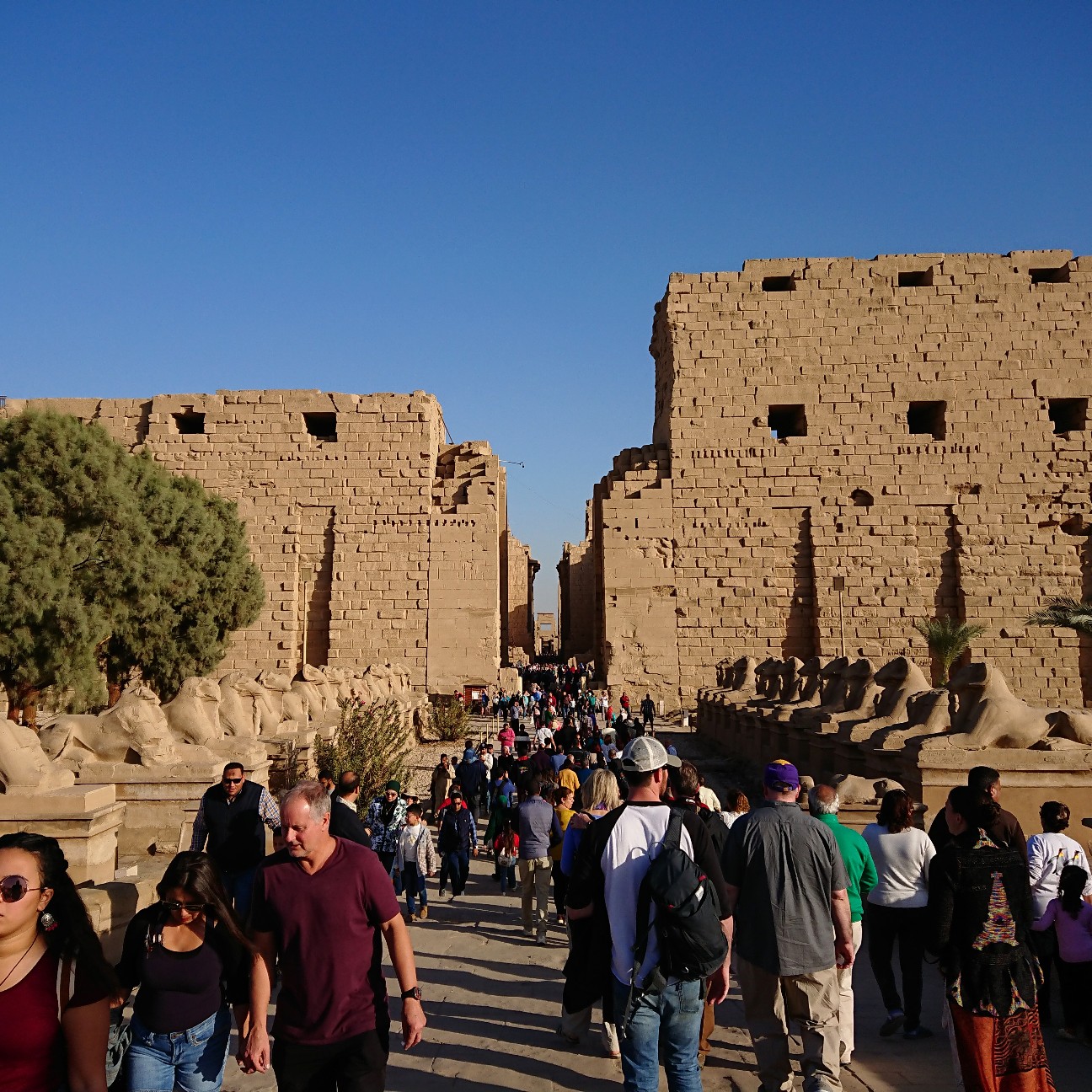 f:id:tomoeagle:20190201061945j:plain