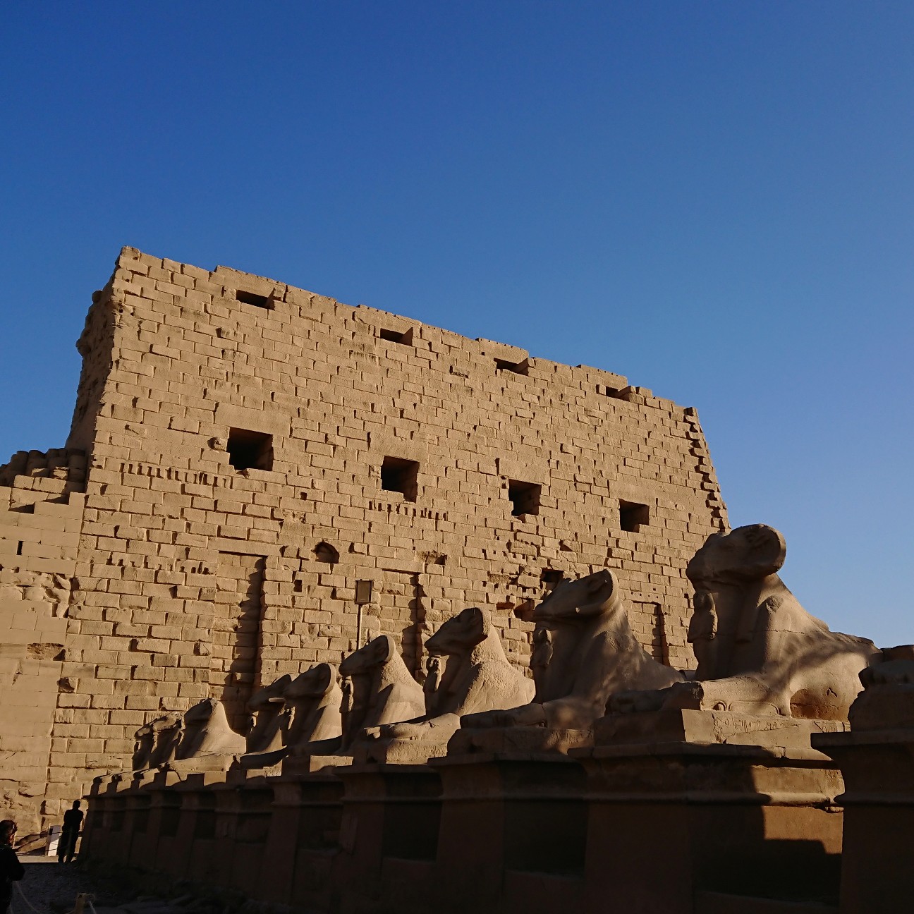 f:id:tomoeagle:20190201062619j:plain