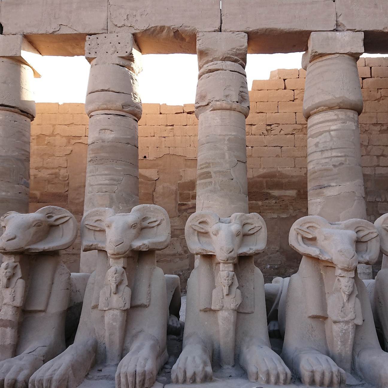 f:id:tomoeagle:20190201062649j:plain