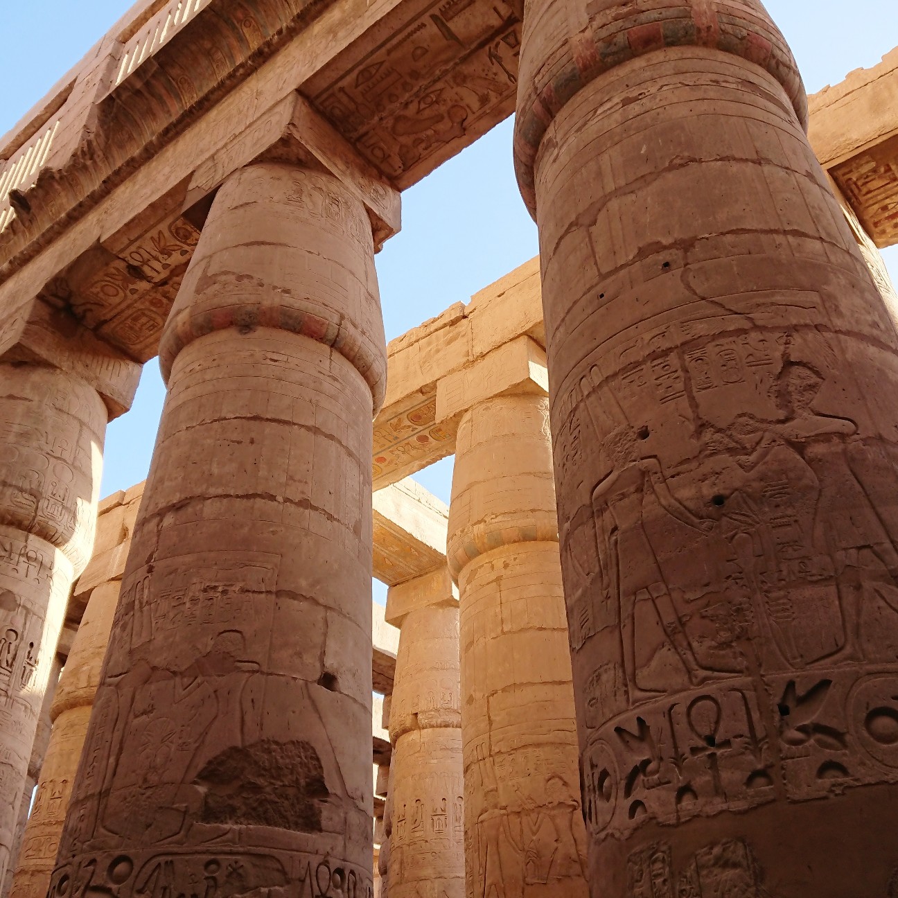 f:id:tomoeagle:20190201062929j:plain