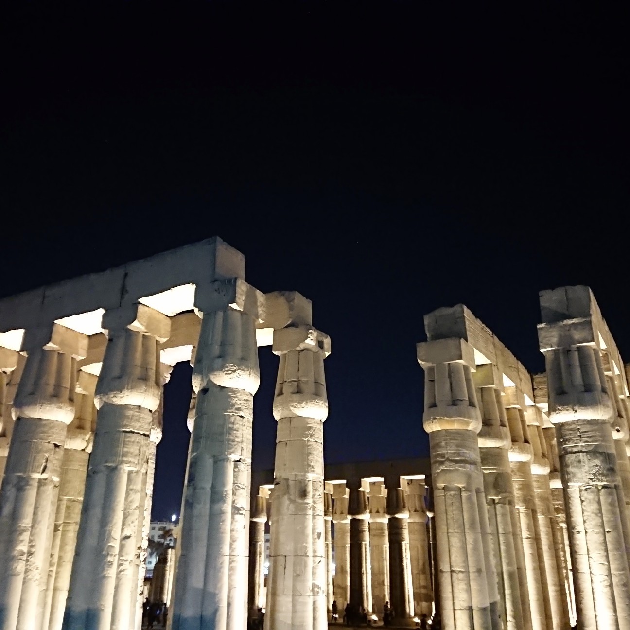 f:id:tomoeagle:20190201070051j:plain