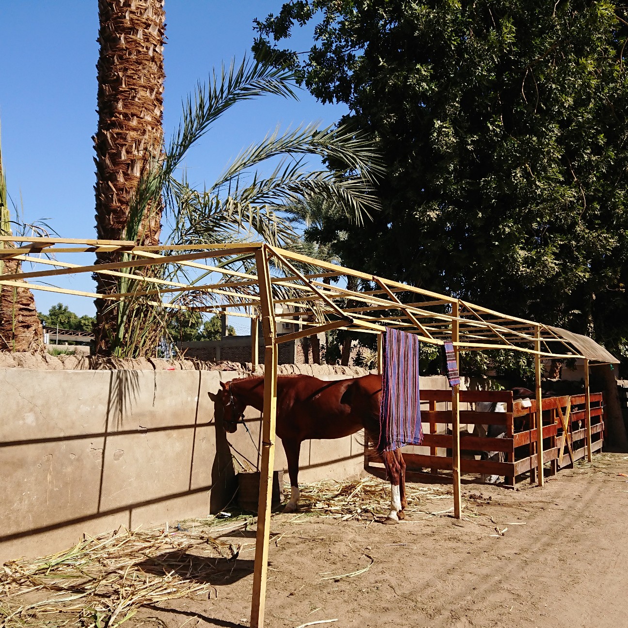 f:id:tomoeagle:20190201070711j:plain