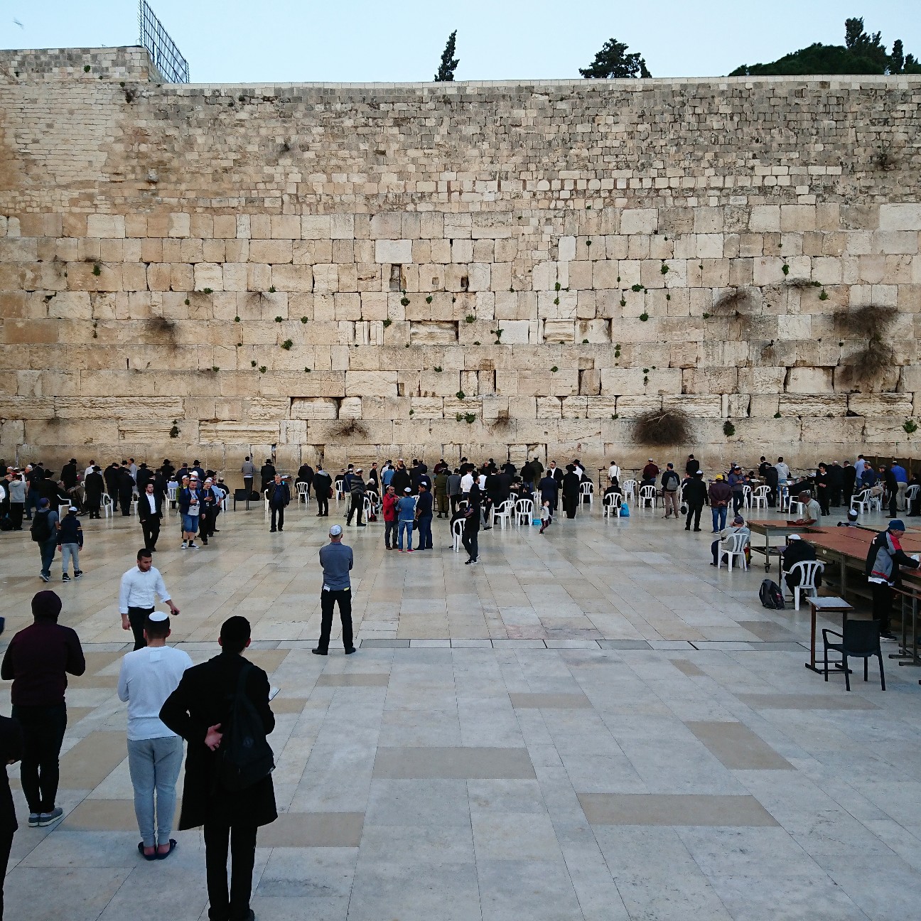 f:id:tomoeagle:20190226070927j:plain