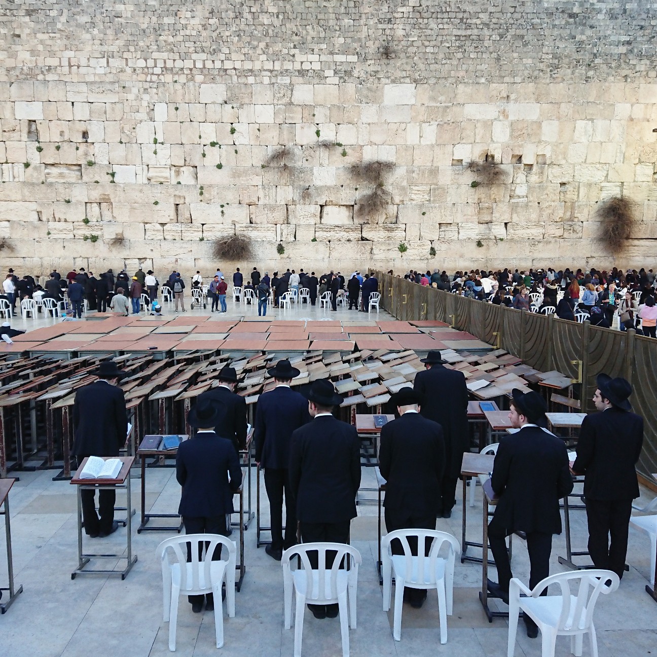 f:id:tomoeagle:20190226071014j:plain