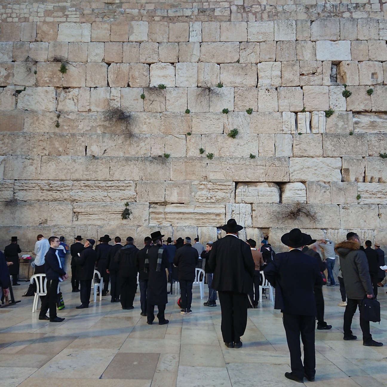 f:id:tomoeagle:20190226071232j:plain