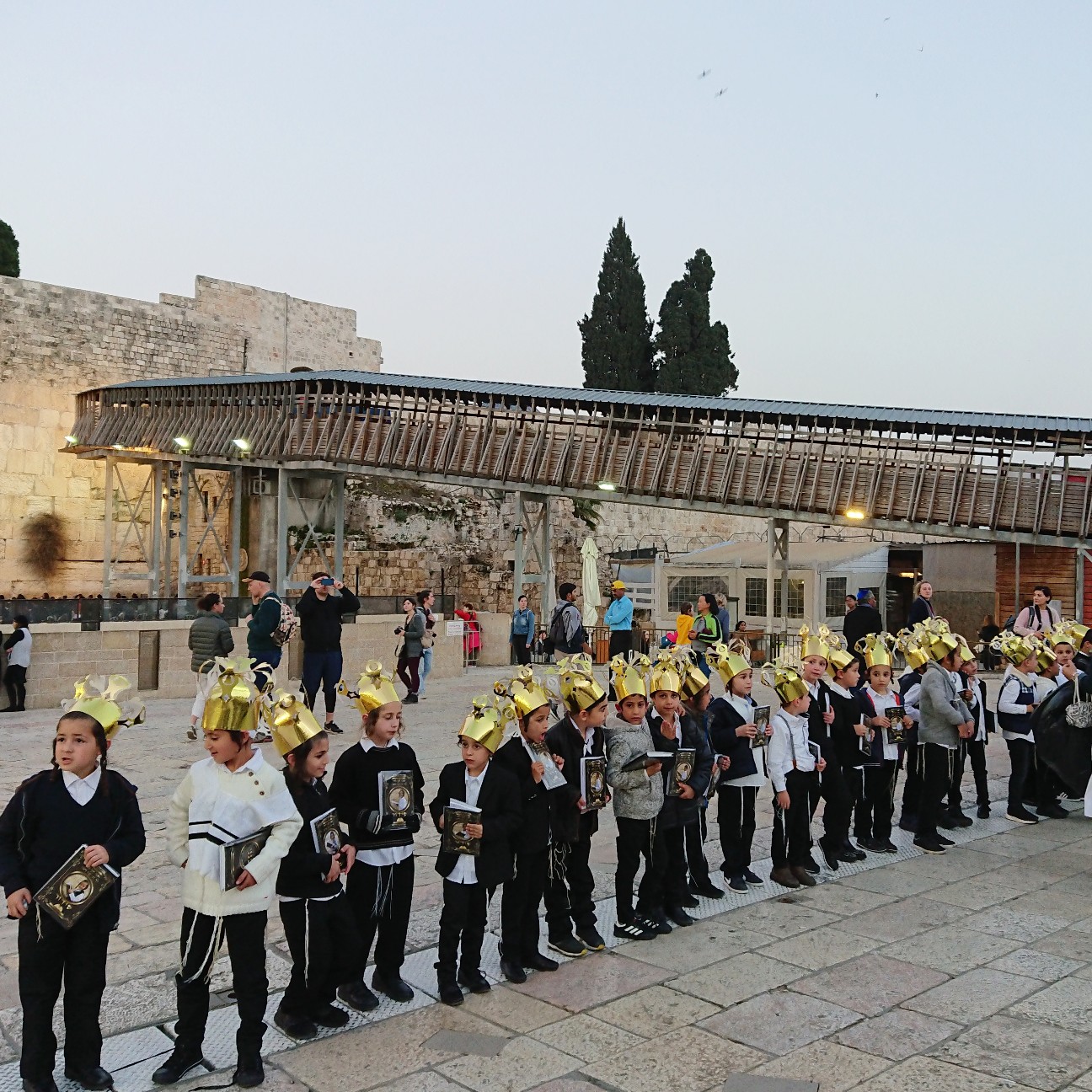 f:id:tomoeagle:20190226071331j:plain