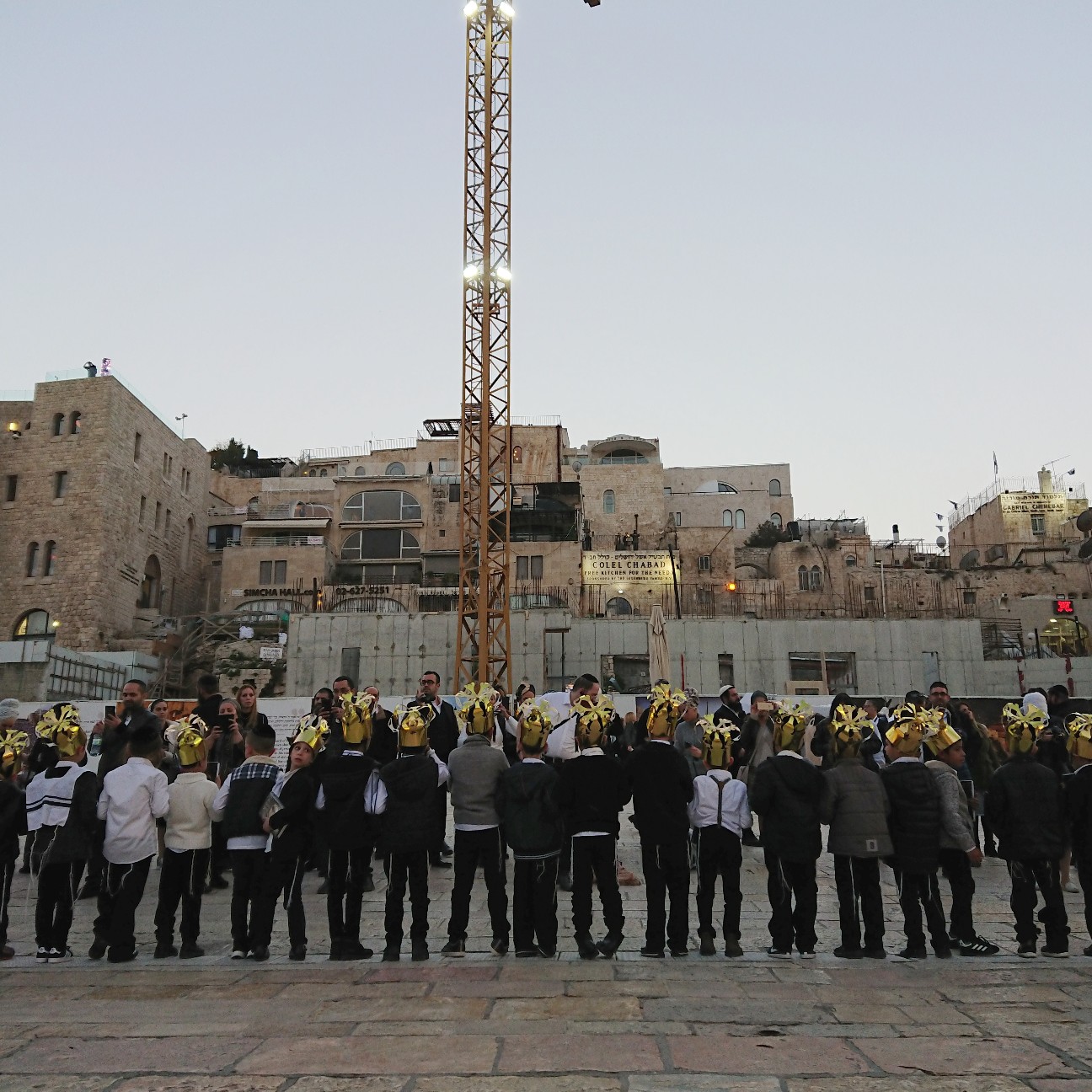 f:id:tomoeagle:20190226071337j:plain