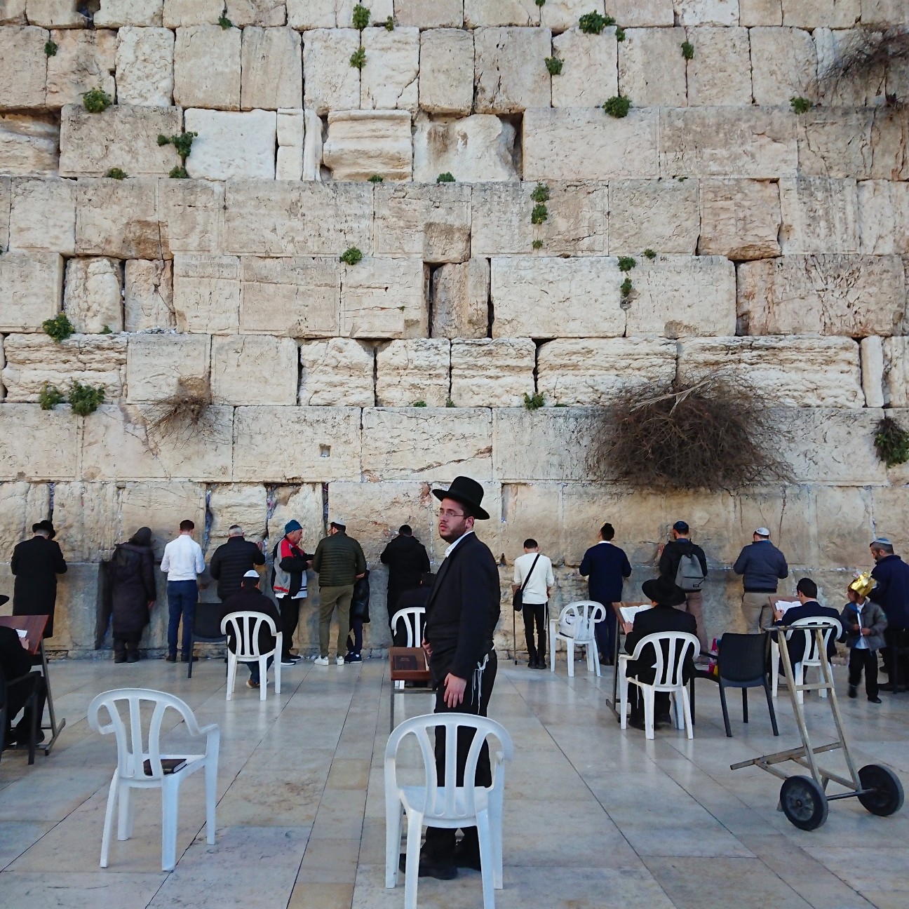 f:id:tomoeagle:20190226075912j:plain